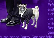 Screenshot: MiB