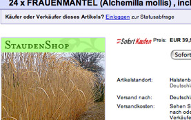 Screenshot: Foto-Branding